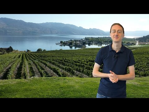 Vidéo: Grape Ivy Growing: Informations sur l'entretien du lierre de raisin à l'intérieur