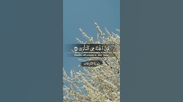 أكتب شيء تؤجر عليه.  ‏‎القارئ: هزاع البلوشي.‏     ‎#قران #قران_كريم #قرآن_كريم #quran #islam #muslim