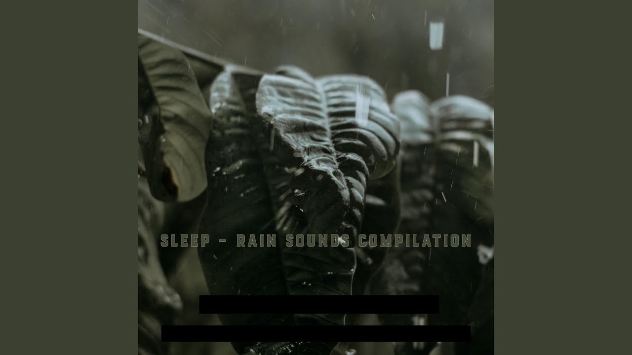 Смотреть «Rustling Rain» на YouTube Смотреть «Rustling Rain» на YouTube