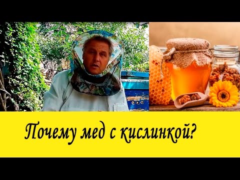 Почему мед с кислинкой?