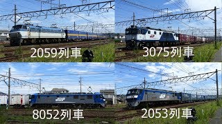 2019/08/31 JR貨物 8月最終日 西浜松から午前11時台 専用貨物列車含む4本