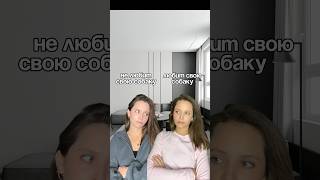 Мытье лап после каждой прогулки-зачастую недооценённая, но очень важная процедура! Пенка 248237382