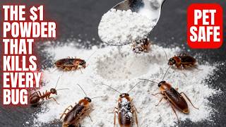 The $1 Food Safe Powder That Eliminates Ants, Roaches and Every Bug In Your Home And Garden