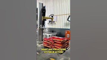 SmartBag Palletizing System In Action!😎 #depalletizing #palletizer #depalletizer #palletizing #robot