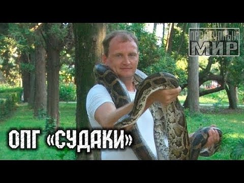 ✔ Героиновый Король Тольятти 😲 Тольяттинская Братва Судаки 🔥 ОПГ 90-х / Колония Самарской области /