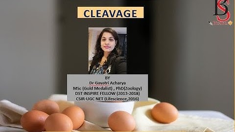 Cleavage in animals/ Developmental biology/ Life Science/ CSIR NET/ By Dr Gayatri Acharya