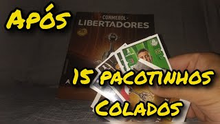 Como ficou meu álbum da Libertadores 2024 após 15 pacotinhos abertos. #panini #libertadores