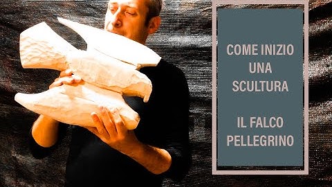 Come inizio una scultura - falco pellegrino #scultura #woodcarving