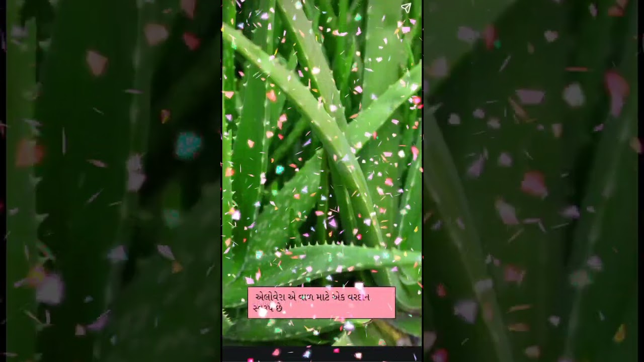 Benefits of aloevera 