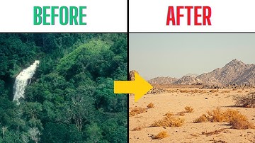 If the Amazon Rainforest Turns into a Desert: What Will Happen?