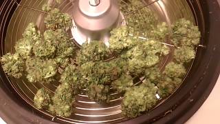 iPower Bud trimmer tested on Cannabis