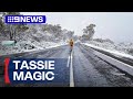White Christmas arrives to Tasmania on Christmas Day | 9 News Australia