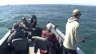 Brookings Lingcod Fishing with Brookings Fishing Charters