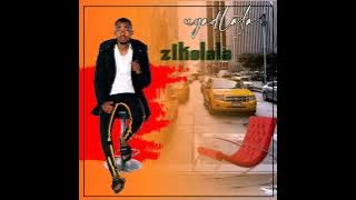 Download lagu ZIKALALA ( Audio uyadlala)