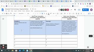 Pro/Con Document Instructions