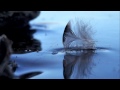 Lirik lagu Higher Ground