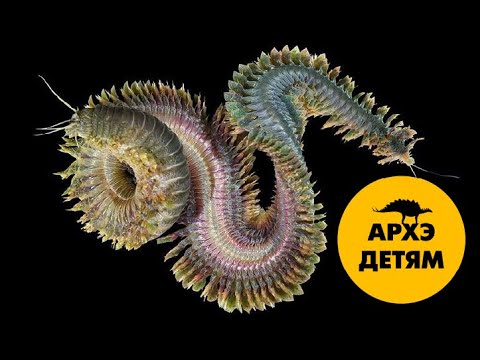 Разделённые на части | Вадим Марьинский (выпуск 7)