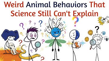 Vreemde diergedragingen die de wetenschap nog steeds niet kan verklaren