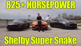 825HP 2020 Shelby Mustang Super Snake Ford Mustang! Review, Exhaust, Walkaround, How to Buy!