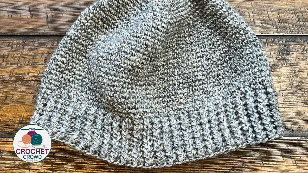 Chunky Grey Crocheted Undyed Gray Brain Beanie NEW Handmade DIY: Chunky Cabled Crochet Beanie with Free Pattern - Kiku  main image 3
