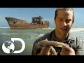 Bear come pulpo crudo en un barco destrozado en el Sahara | Escape del infierno con Bear Grylls
