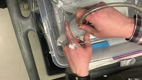 Cardiopulmonary Bypass Procedure on a Dynamic Simulation Model