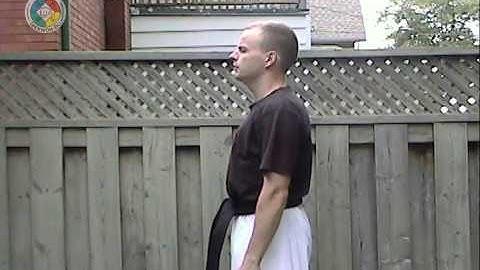 Taekwondo: Hapkido: Foundations: middle block, side view