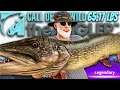 We Caught The MONSTER Legendary Pike! *65lbs* Call of the wild The Angler Guide