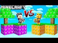 Centex lucky block vs vitamine lucky block in minecraft