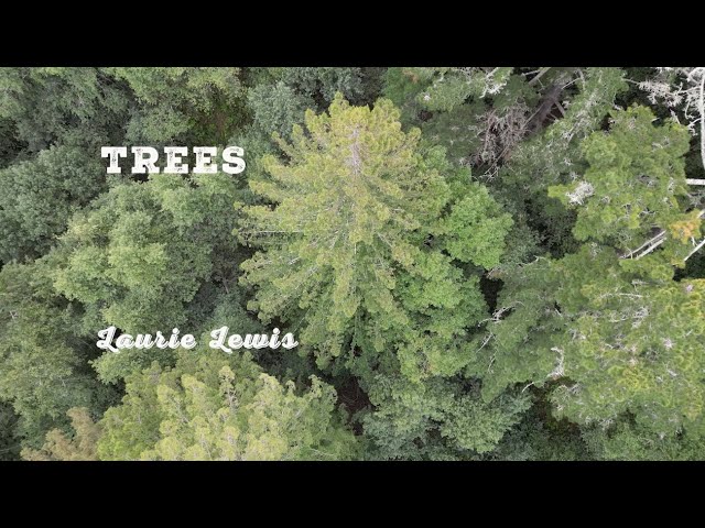 Laurie Lewis - Trees