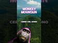 Monkey Mountain will make you feel happy!!!  #shorts