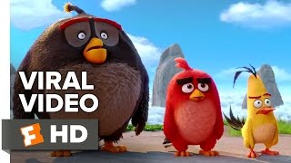 The Angry Birds Movie VIRAL - New Year s Resolutions 2016