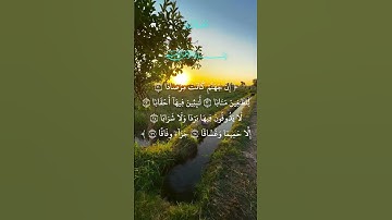 سورة النبأ القارئ الحاج عامر الكاظمي