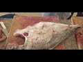 Trevally Fish Chopping Master/ Amazing Diamond Trevally Fish Chopping/ Amazing Trevally Fish Cutting