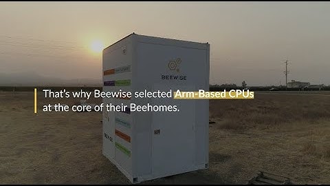 Saving the Bees with AI: Technical Overview