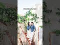Lightroom mobile presets free  wedding filter couple aesthetic