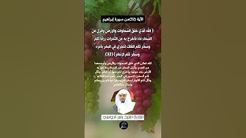 الآية (32) من سورة ابراهيم//القارئ الشيخ ياسر الدوسري.