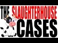 Understanding the Slaughterhouse Cases and the 14th Amendment
