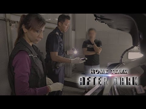 HOME TEAM AFTER DARK - NARCOTICS OFFICER (CNB)