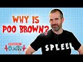 Why is Poo Brown? | Operation Ouch