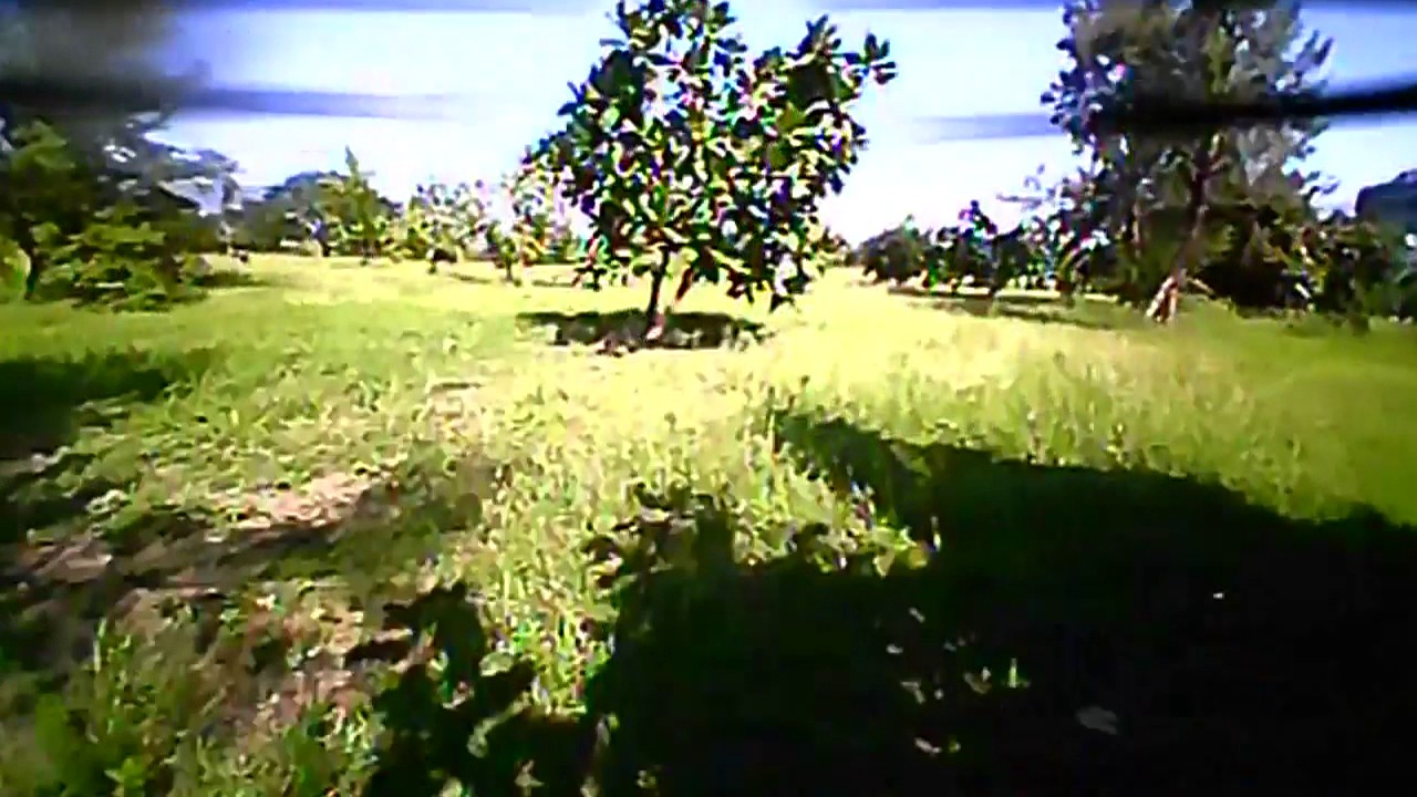 Qav100 brush 有刷小四軸飛行