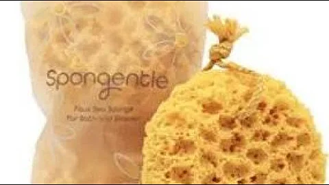 magnetic 8 Bath Sponges That Are top-notch