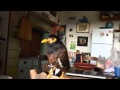 Morris the Mynah