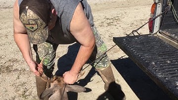Loading a deer by yourself