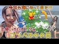 夏と言えば、海だよな！！！ウミディグダ色違いにも会いたい！誰が主役かわからない！？wゴンベふかの日！【ポケモンGO】
