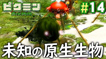 だいだらピクミン事故