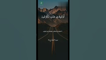 أجمل حالات واتس اب 💜دينية قرآن كريم💛 {والذين هم بشهاداتهم قائمون}♡ حياة القلوب 🌿🕊