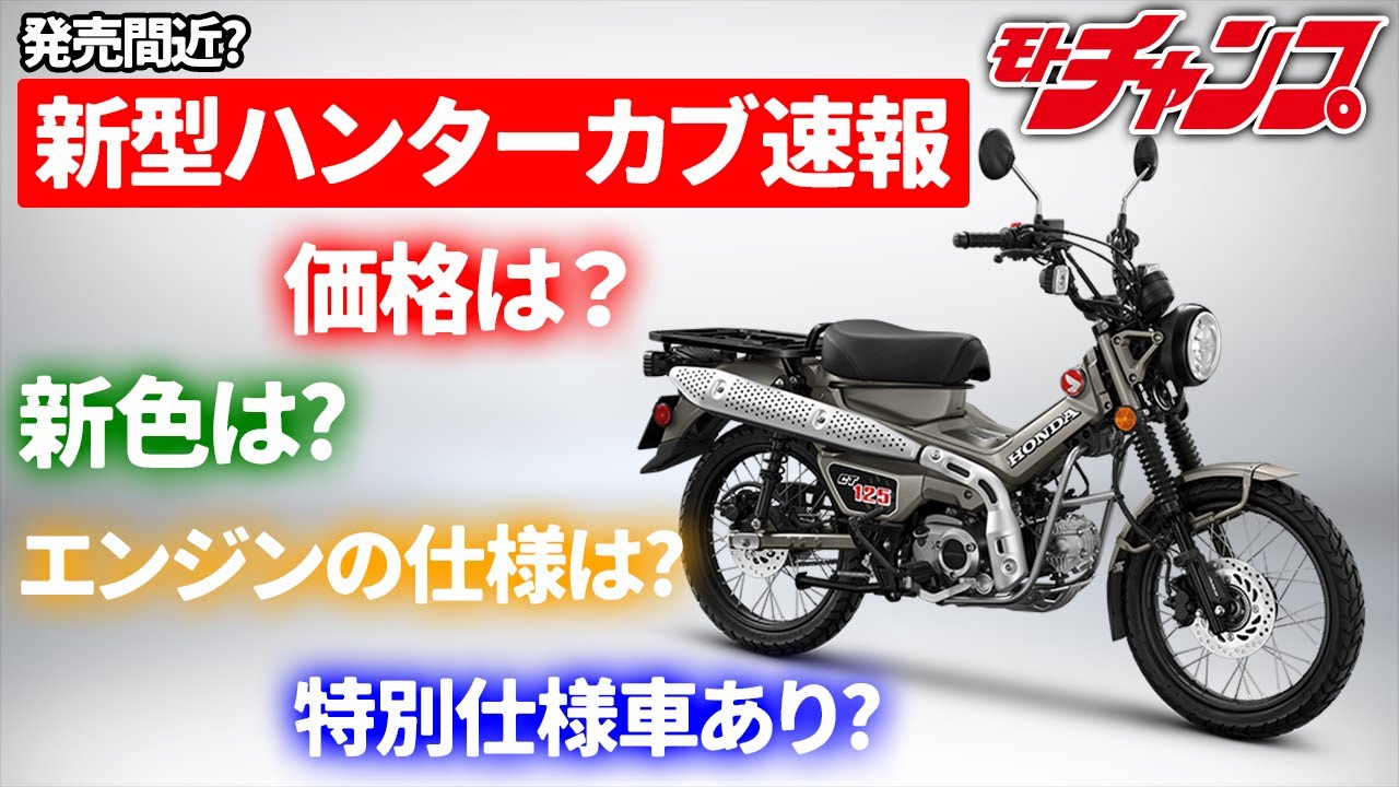 Coming Soon? Breaking News on the New Hunter Cub - YouTube