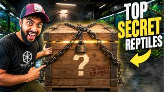 Top Secret Animals At My Reptile Zoo!