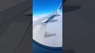 Vistara flight experience | flight view | Vistara hospitality | #ytshorts #shorts #shortvideo
